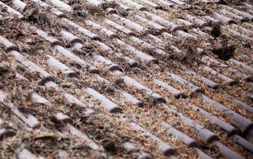 Cleadale roof cleaning companies